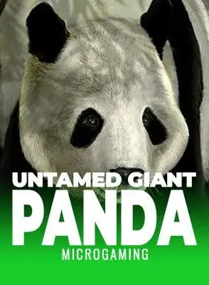 untamed-giant-panda.webp